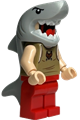 Viktor Krum - Shark, Dual Sided Head - hp414