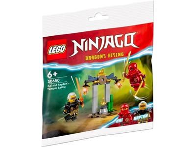 30650 LEGO Ninjago Dragons Rising Kai and Rapton's Temple Battle thumbnail image