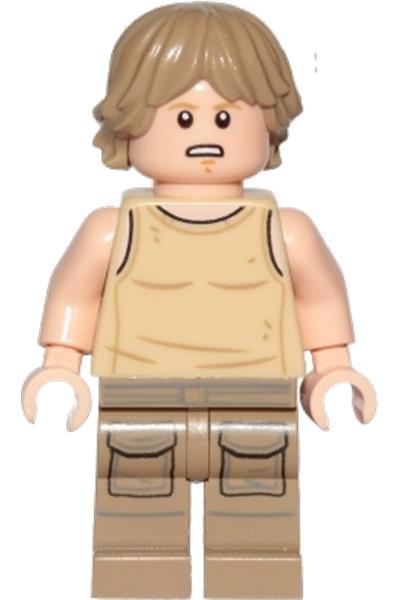 LEGO Star Wars: The Skywalker Saga with exclusive Luke Skywalker polybag  available for order [News] - The Brothers Brick
