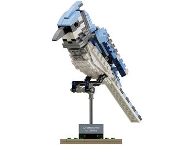 Lego - LEgO Ideas 21301 Kit de modèle d'oiseaux (abandonné par le  fabricant) - Briques et blocs - Rue du Commerce