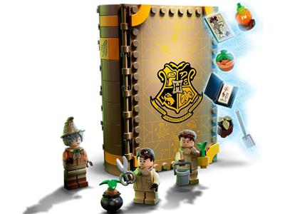 LEGO Harry Potter Hogwarts Moment: Herbology, Potions, Transfiguration,  Charms 