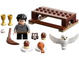 75979 Hedwige LEGO® Harry Potter™ - Lego - Achat & prix